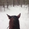 Елизавета Евгеньевна Сандлер
